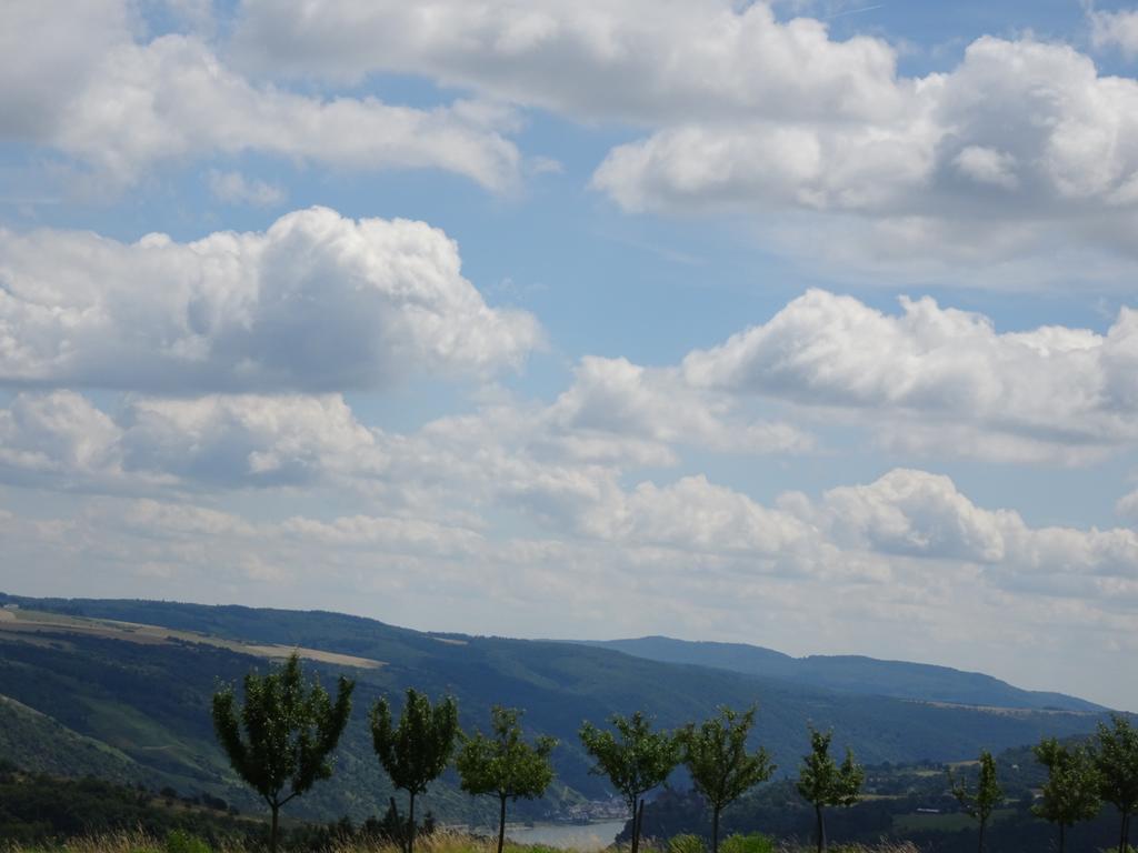Landgasthaus Alter Posthof Halsenbach Zewnętrze zdjęcie